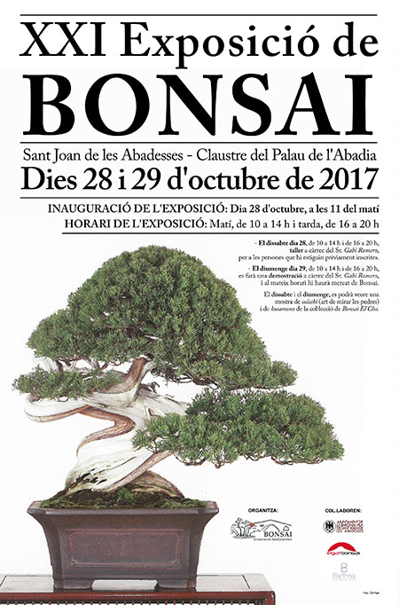 agenda-bonsai-17