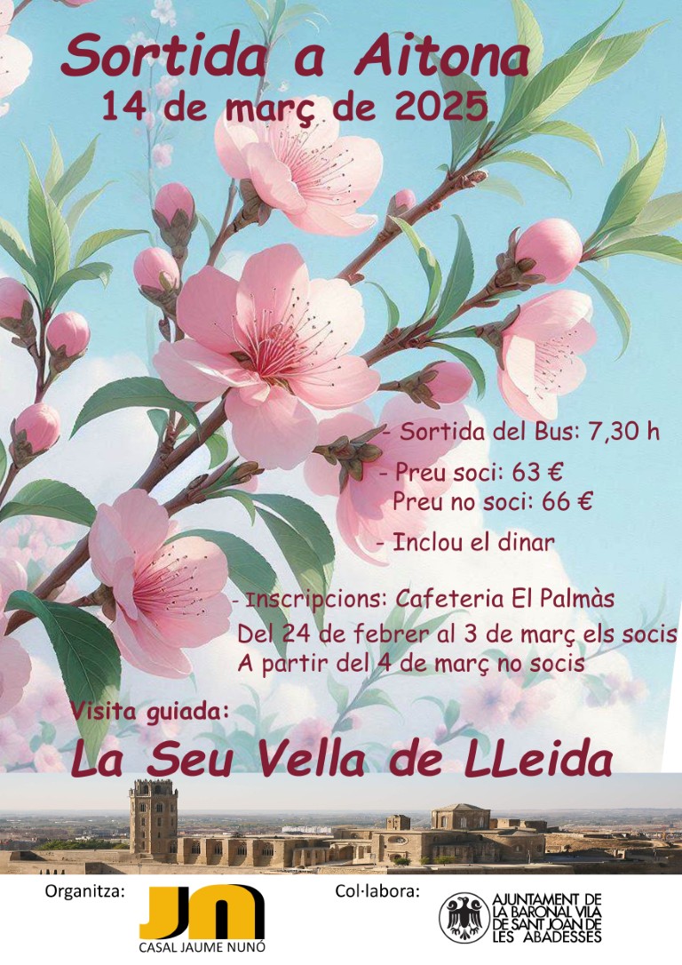 Cartell Aitona prova Medium