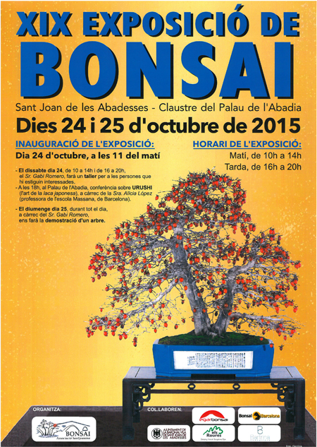 bonsai-15