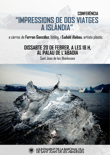 islandia agenda