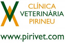 Clínica Veterinària Pirineu