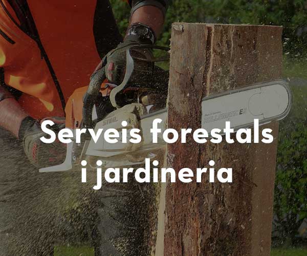 Serveis forestals i jardineria